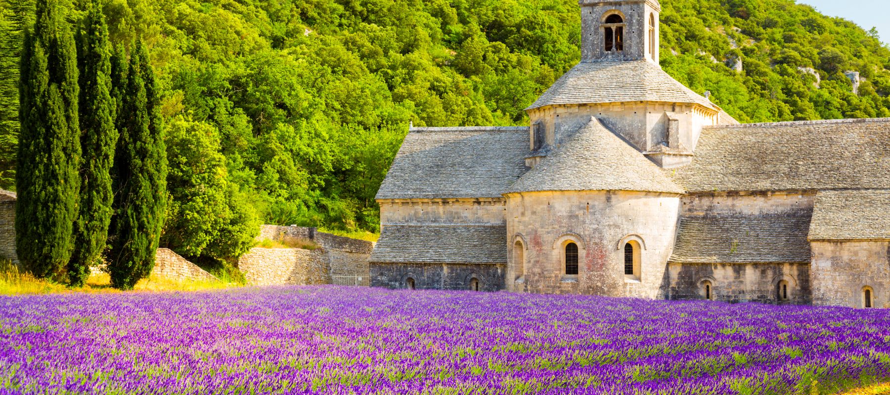 Marsiglia, Provenza e Porquerolles: il viaggio tra lavanda e mare